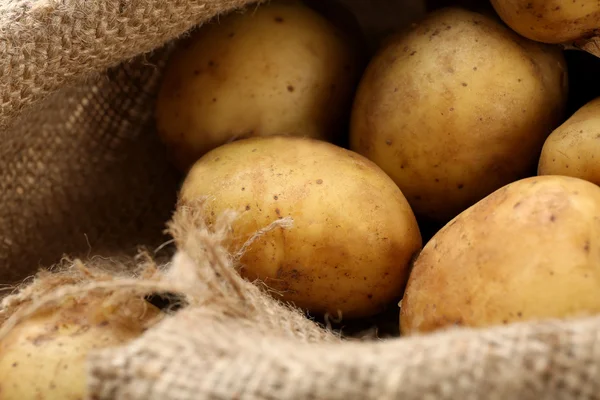 Unga potatis på säckväv på nära håll — Stockfoto