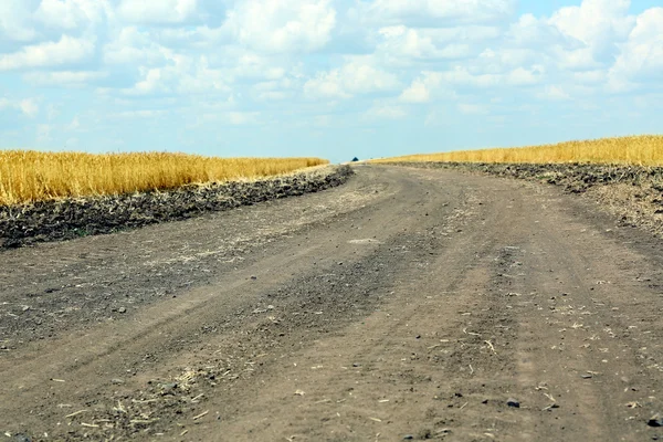 Estrada de campo — Fotografia de Stock
