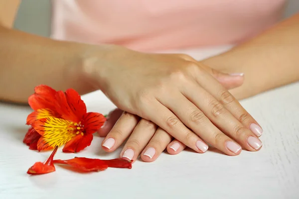 Mani donna con manicure francese — Foto Stock