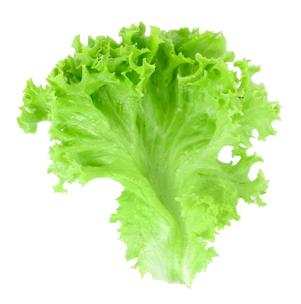 Elszigetelt fehér, a zöld friss fejes saláta — Stock Fotó