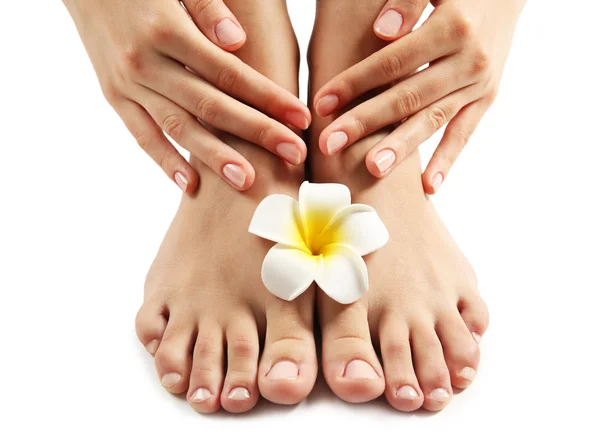 Vrouwelijke voeten bij spa pedicure procedure met plumeria geïsoleerd op wit Stockfoto