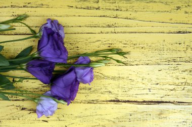 Ahşap arka plan üzerinde güzel eustoma