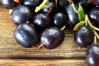 Islak siyah kuş üzümü yığını