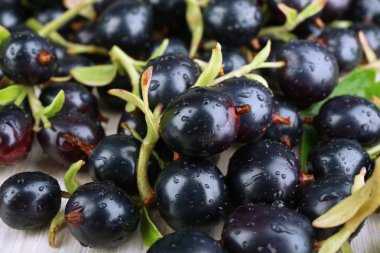 Islak siyah kuş üzümü yığını