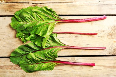 Taze İsviçre pazı