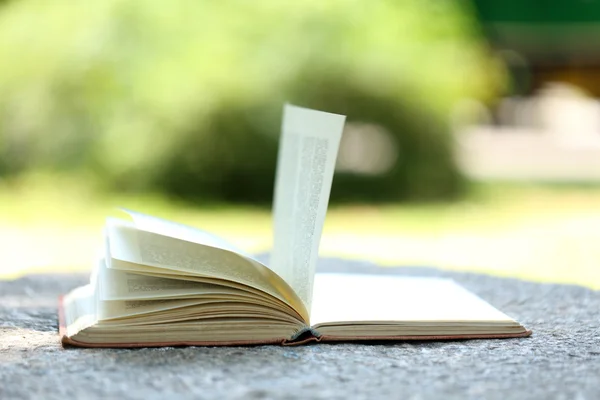 Libro abierto al aire libre, sobre fondo borroso — Foto de Stock