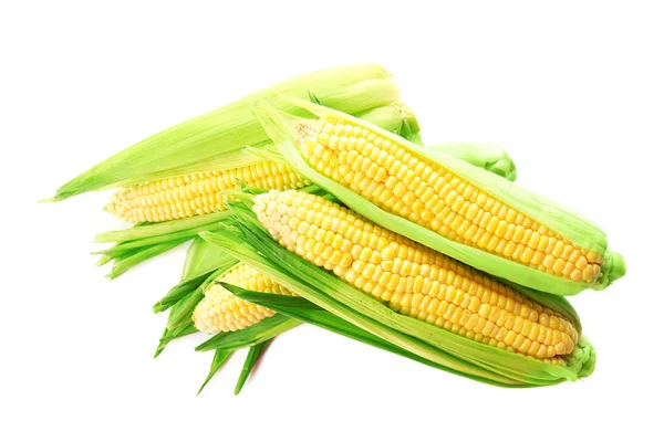 Fresh corn on cobs — Stock Photo, Image