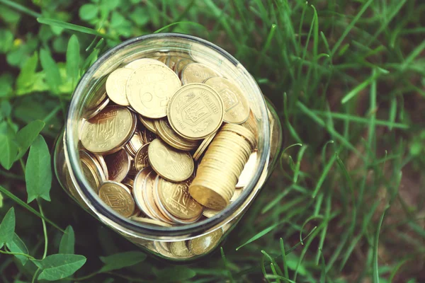 Munten in geld pot — Stockfoto