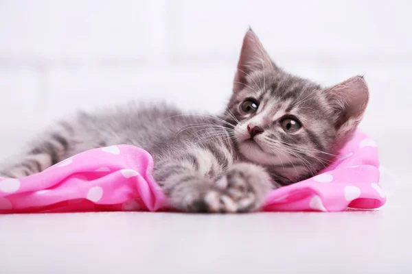 Lindo gatito gris en el suelo en casa — Foto de Stock