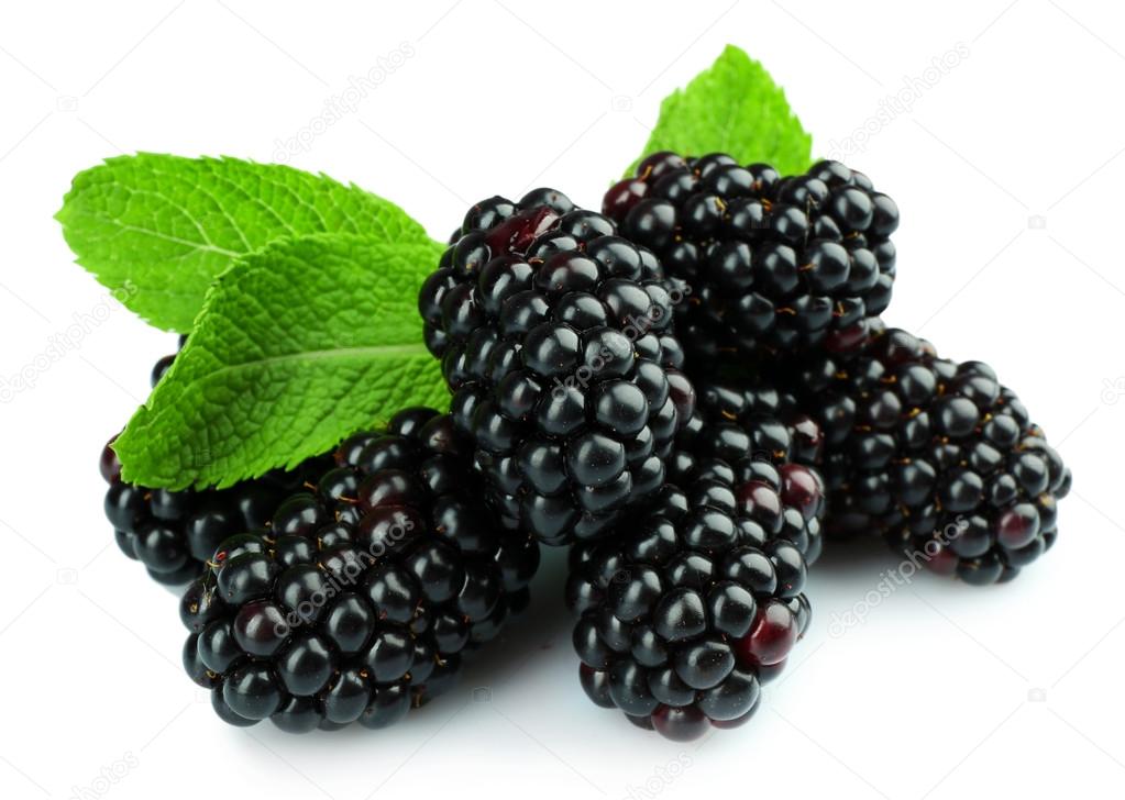 Sweet blackberries with mint