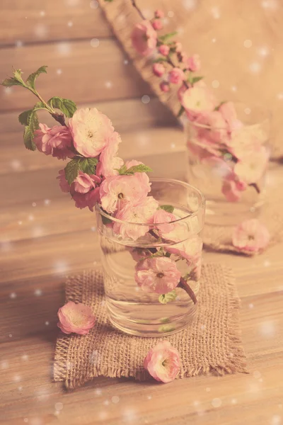 Beautiful fruit blossom — Stock Photo, Image