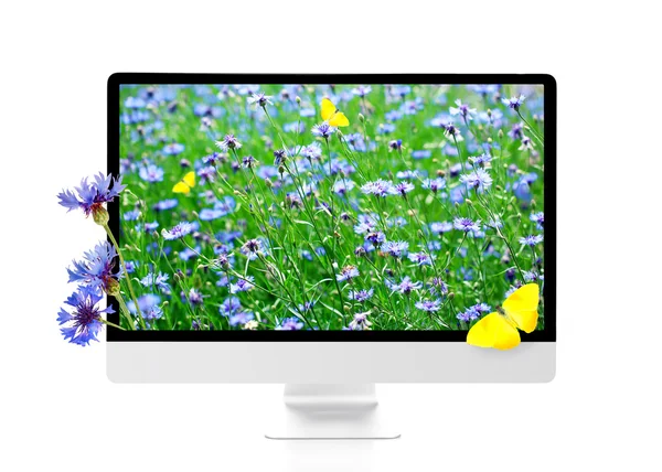 Nueva computadora moderna con fondo de pantalla de la naturaleza en pantallas aisladas en blanco —  Fotos de Stock