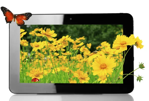 Tableta con fondo de pantalla de la naturaleza en pantallas aisladas en blanco —  Fotos de Stock