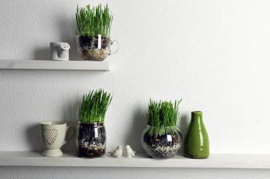 Yeşil çim şeffaf tencere