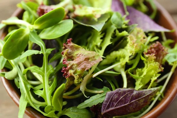 Salada verde mista fresca na tigela de perto — Fotografia de Stock