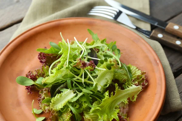 Taze karışık yeşil salata plaka üzerinde kapat — Stok fotoğraf