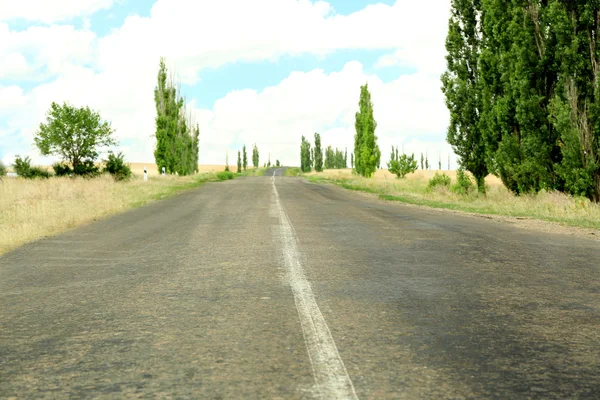 Asphalt road with trees — Stock Photo, Image