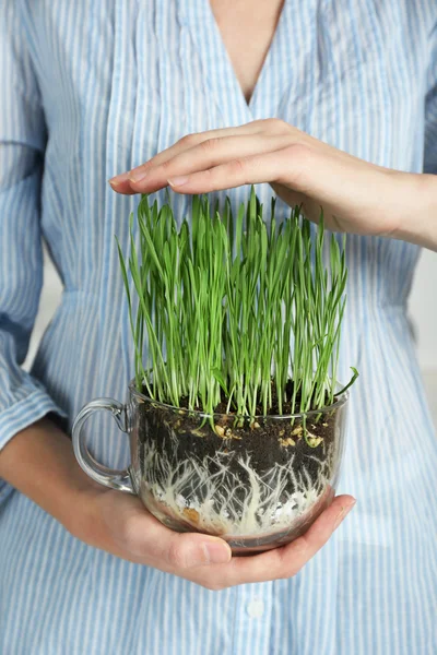 Woman holding transparent pot — Stock Photo, Image