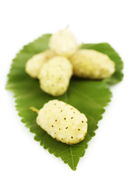 Fresh mulberry isolated on white — Stock Photo, Image