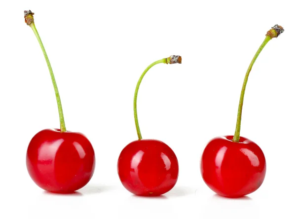 Cerezas frescas aisladas en blanco —  Fotos de Stock