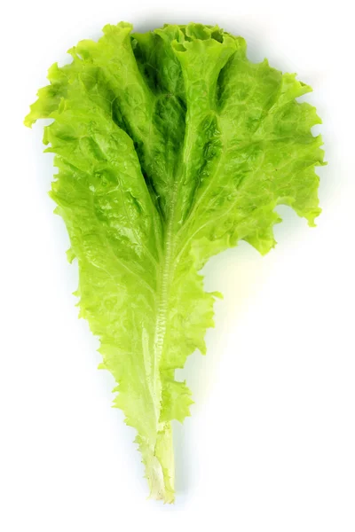 Green fresh lettuce isolated on white — Stock Photo, Image