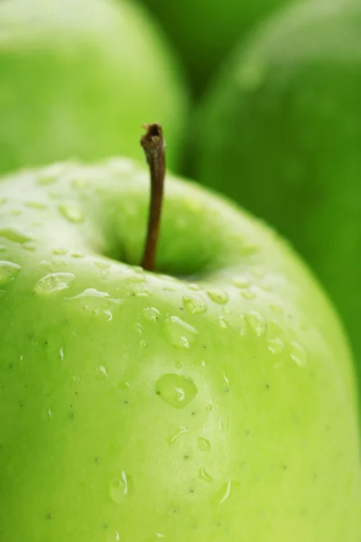 Zralé zelené jablko — Stock fotografie