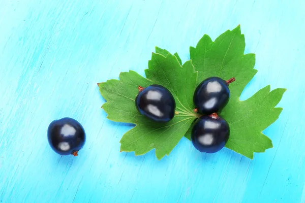 Спелые черные смородины на синем деревянном фоне — стоковое фото