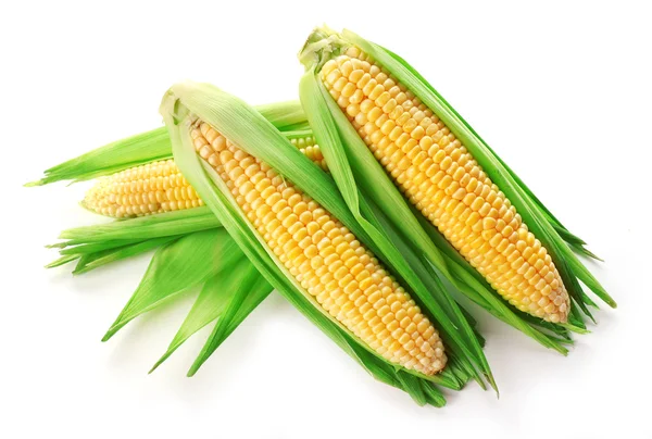 Fresh corn on cobs isolated on white — Stock Photo, Image