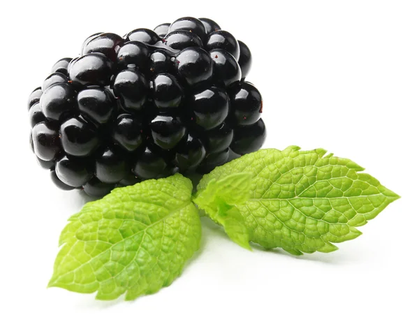 Ripe blackberry with green leaves isolated on white — Stock Photo, Image