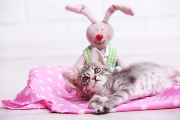 Cute gray kitten — Stock Photo, Image