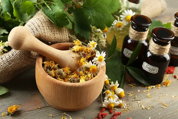 Herbs, berries and flowers with mortar — Stock Photo, Image