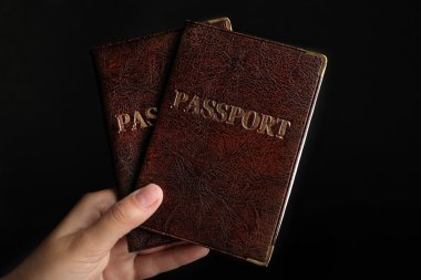 El tutma Pasaportlar