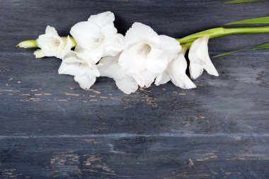 Glayöl çiçek ahşap arka plan üzerinde