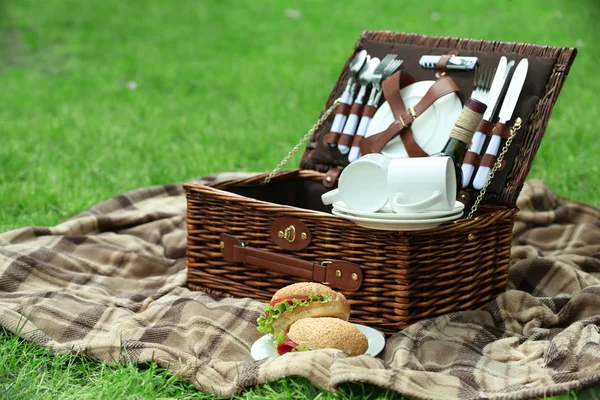 Wicker picnic basket, tasty sandwiches — Stock Photo, Image