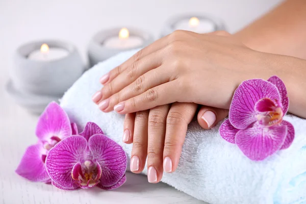 Manos con manicura francesa y orquídea —  Fotos de Stock