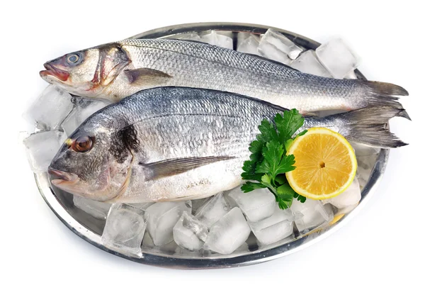 Poissons frais avec citron et glace sur plateau métallique isolé sur blanc — Photo