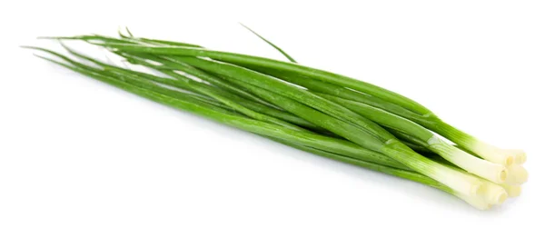 Green onion isolated on white — Stock Photo, Image