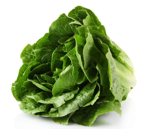 Lettuce isolated on white — Stock Photo, Image