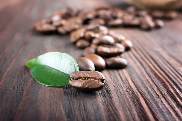 Kaffeebohnen mit Blatt — Stockfoto