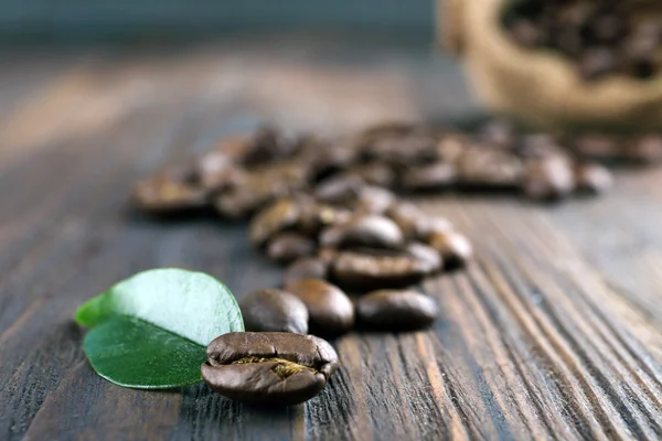 Kahve çekirdekleri ile yaprak — Stok fotoğraf