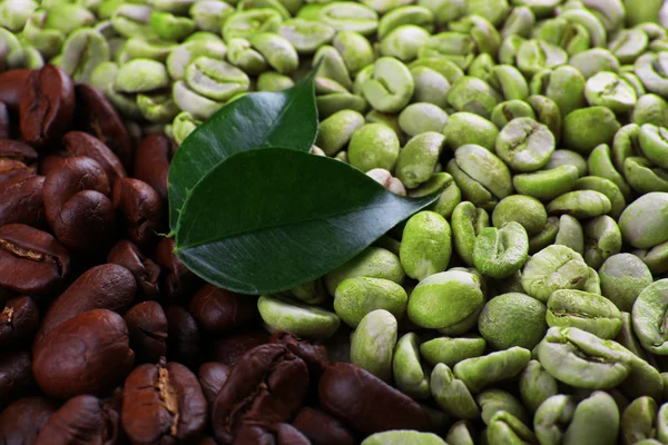 Yeşil ve kahverengi kahve çekirdekleri — Stok fotoğraf