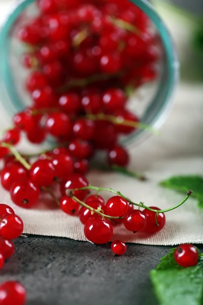 Grosellas rojas maduras en la mesa — Foto de Stock