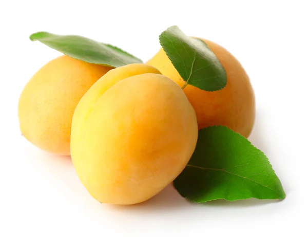 成熟杏子上白色隔离 — 图库照片