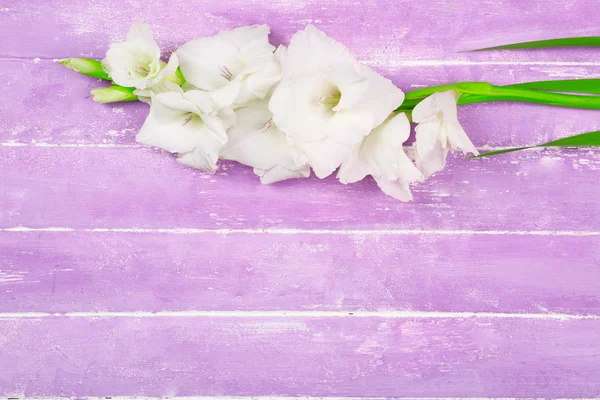 Gladiolo fiore su sfondo di legno — Foto Stock