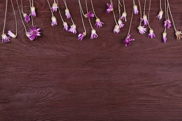 木製の背景に野の花 — ストック写真