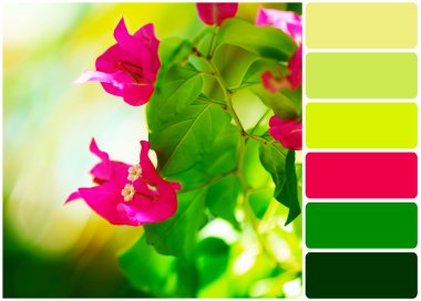 Fresh flowers over green leaves and palette of colors clipart