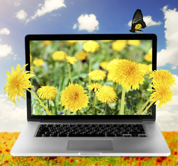 Přenosný počítač s přírodní tapety na obrazovce na pole máku proti pozadí modré oblohy — Stock fotografie