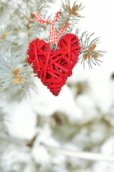 Coberto com neve e vime ramo do coração de abeto, ao ar livre — Fotografia de Stock