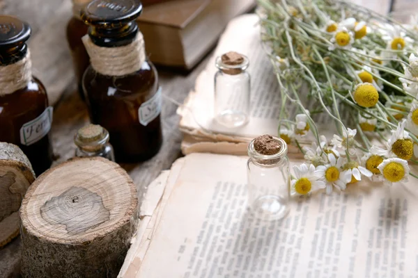 Oud boek met droge bloemen — Stockfoto