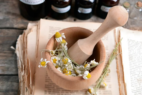 Oud boek met droge bloemen — Stockfoto